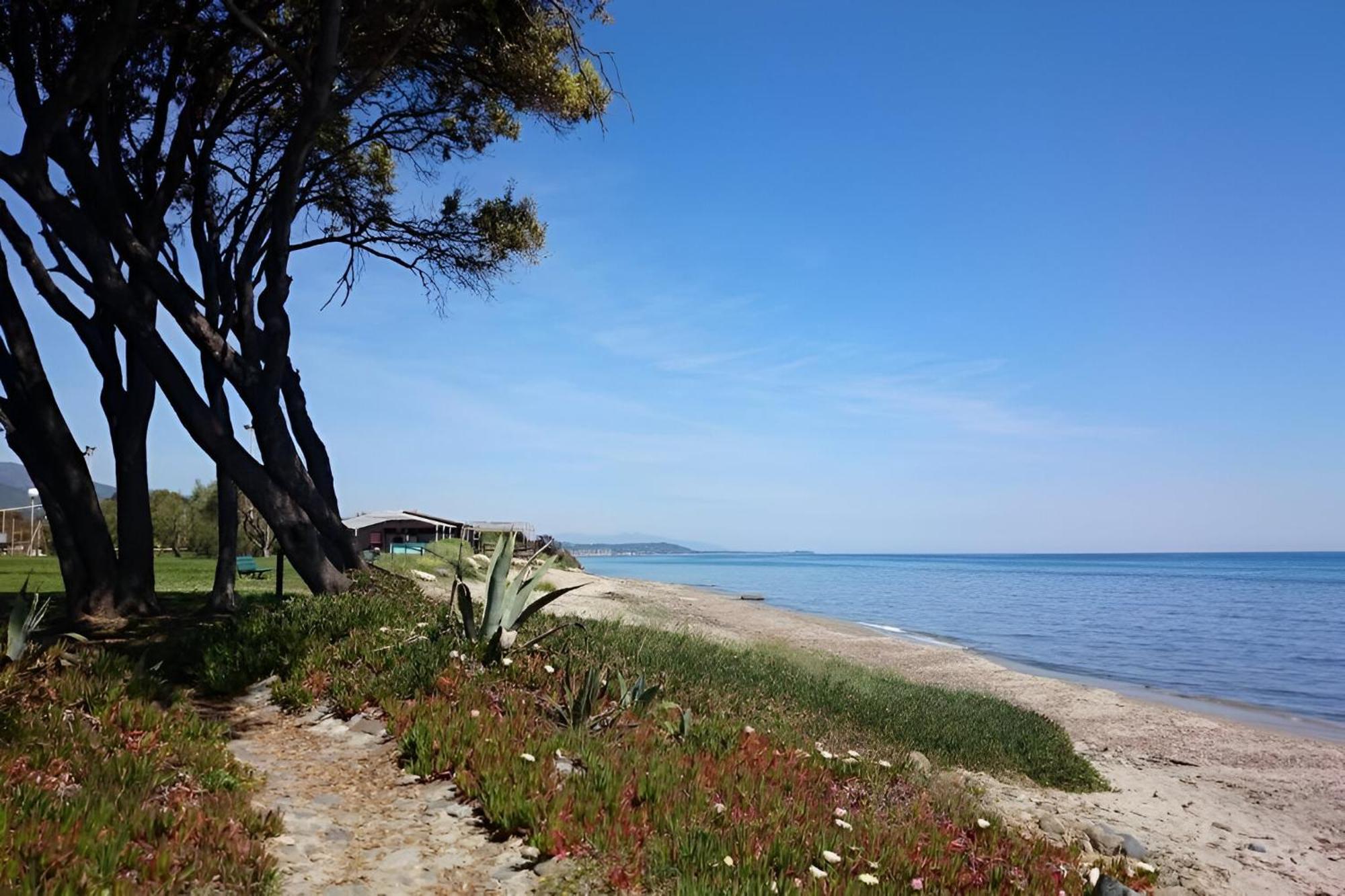 Villa Tous Conforts Avec Piscine Privee Et Acces Plage Cervione Dış mekan fotoğraf